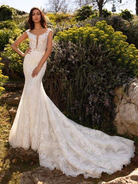 pronovias despina