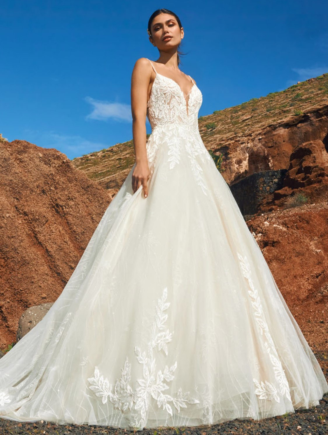 pronoviasivmrAXj socotra